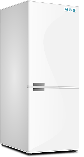 kuehlschrank-auf-rechnung