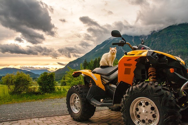 Quad auf Rechnung