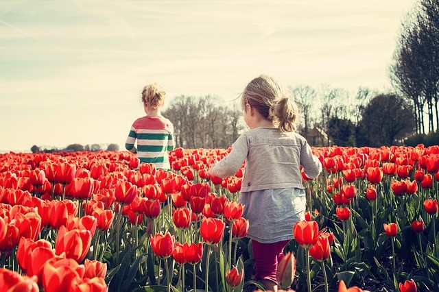 Kindermode Rechnungskauf